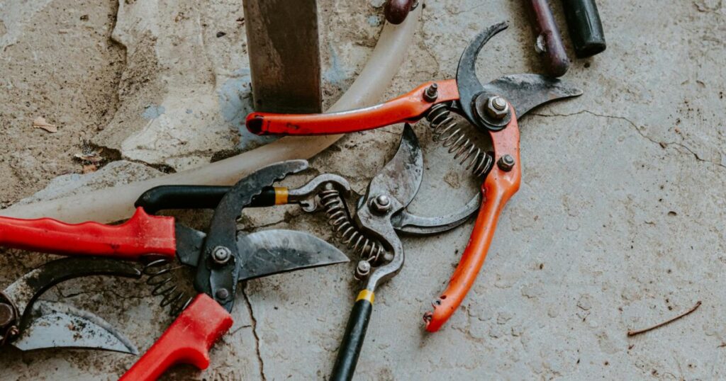 A selection of colorful garden tools arranged on a rough concrete background.